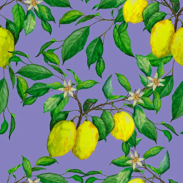 Patrón Creativo Sin Costuras Con Limones Acuarela Estampado Moda Afrutado — Foto de Stock