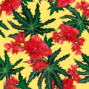 Hawaii 'de tropik yapraklar ve çiçeklerle sulu boya desenleri var. Egzotik Orkide çiçekleri. Tropik yaz çiçekleri..