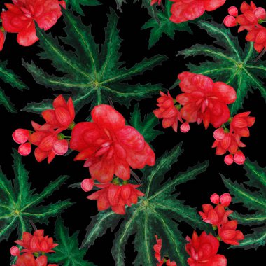 Hawaii 'de tropik yapraklar ve çiçeklerle sulu boya desenleri var. Egzotik Orkide çiçekleri. Tropik yaz çiçekleri..