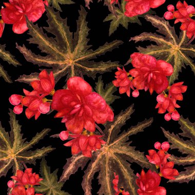 Hawaii 'de tropik yapraklar ve çiçeklerle sulu boya desenleri var. Egzotik Orkide çiçekleri. Tropik yaz çiçekleri..