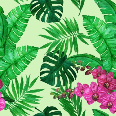 Süssüz desenli suluboya tropikal yapraklar ve orkide çiçekleri. Renkli el çizimi çizimi. Hawaii yaz egzotik baskısı.