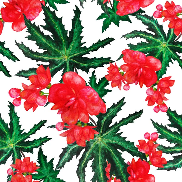 Гавайский Бесшовный Рисунок Акварелью Тропических Листьев Цветов Экзотические Цветы Орхидеи — стоковое фото