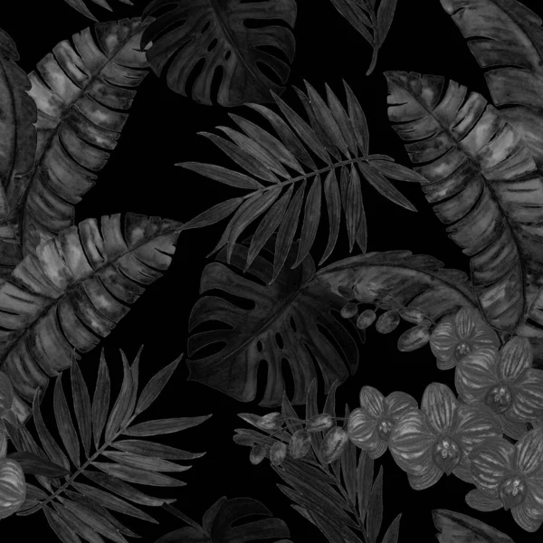 수채류의 열대림 정교하게 장식된 솔기없는 손으로 모노크롬 일러스트 하와이의 이국적 — 스톡 사진