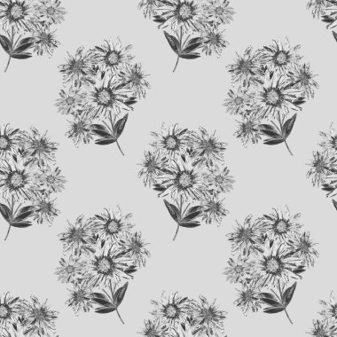 Çiçeksiz desenli, güzel çiçek açan papatyalar. Tek renkli suluboya çiçek deseni. Yaz tebrik kartı.. 