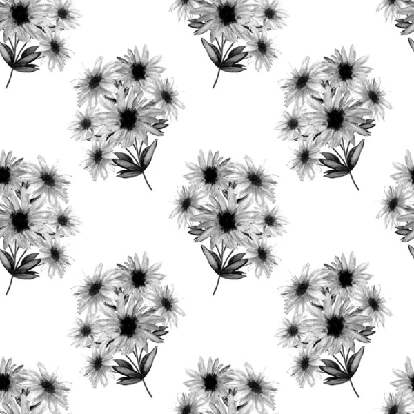 Floral Seamless Pattern Beautiful Blooming Camomiles Monochrome Watercolor Flower Print — Stock Photo, Image