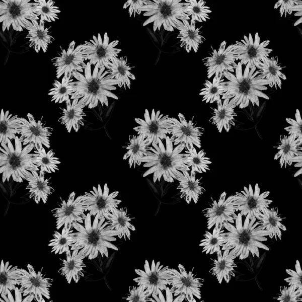 Floral Seamless Pattern Beautiful Blooming Camomiles Monochrome Watercolor Flower Print — Stock Photo, Image