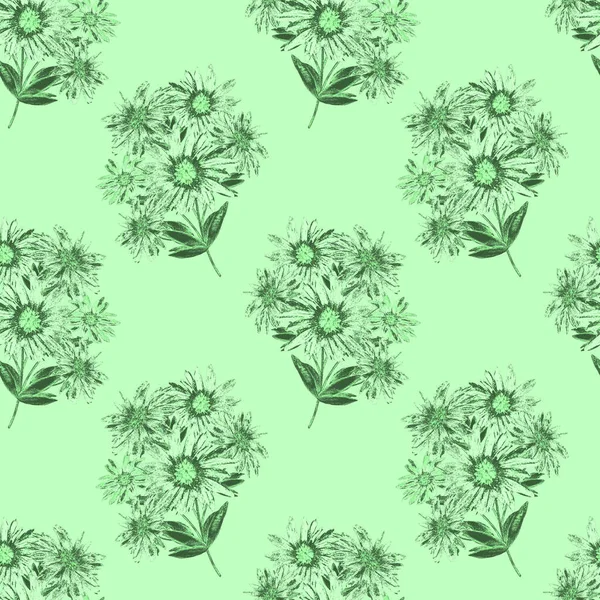 Florales Nahtloses Muster Mit Schön Blühenden Kamillen Monochromer Aquarell Blütendruck — Stockfoto