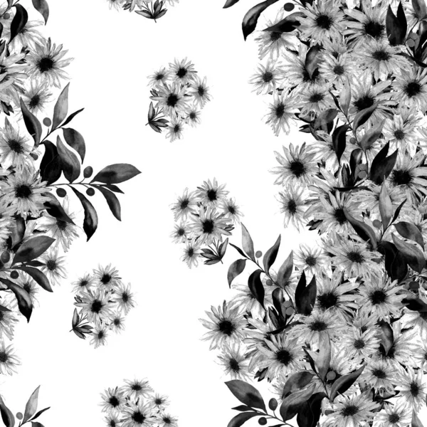 Květinový Bezešvý Vzor Krásnými Kvetoucími Heřmánky Černobílý Akvarel Květinový Tisk — Stock fotografie