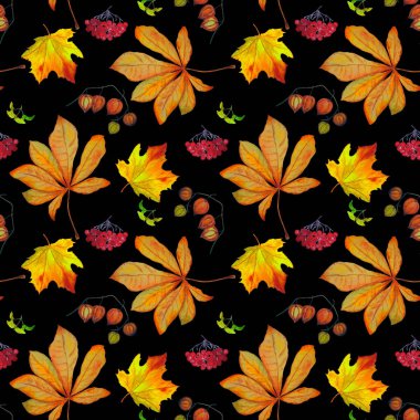 Sonbaharda siyaha boyanmış sulu boya deseni. Akçaağaç. Rowan. Physalis. Kestane rengi. Her türlü tasarım için güzel bir sonbahar baskısı.