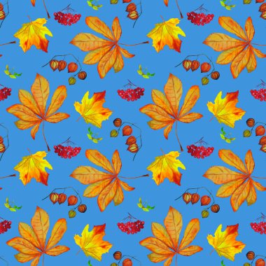 Sonbahar setiyle suluboya kusursuz desen. Akçaağaç. Rowan. Physalis. Kestane rengi. Her türlü tasarım için güzel bir sonbahar baskısı.
