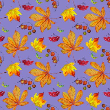 Sonbahar setiyle suluboya kusursuz desen. Akçaağaç. Rowan. Physalis. Kestane rengi. Her türlü tasarım için güzel bir sonbahar baskısı.