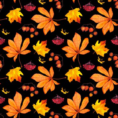 Sonbaharda siyaha boyanmış sulu boya deseni. Akçaağaç. Rowan. Physalis. Kestane rengi. Her türlü tasarım için güzel bir sonbahar baskısı.