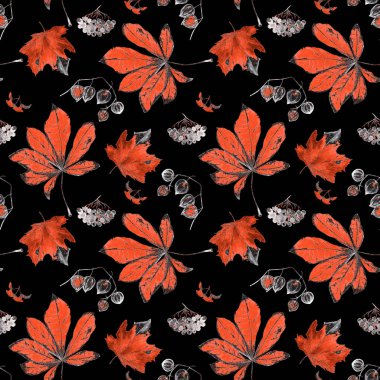 Sonbaharda siyaha boyanmış sulu boya deseni. Akçaağaç. Rowan. Physalis. Kestane rengi. Her türlü tasarım için güzel bir sonbahar baskısı.