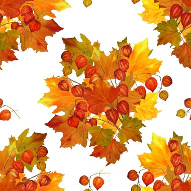 Sulu sonbahar buketli, kusursuz bir desen. Akçaağaç. Physalis. Doğal sonbahar baskısı. Renkli el çizimi illüstrasyon.