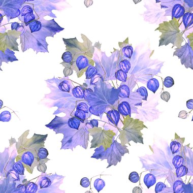 Sulu sonbahar buketli, kusursuz bir desen. Akçaağaç. Physalis. Doğal sonbahar baskısı. Renkli el çizimi illüstrasyon.