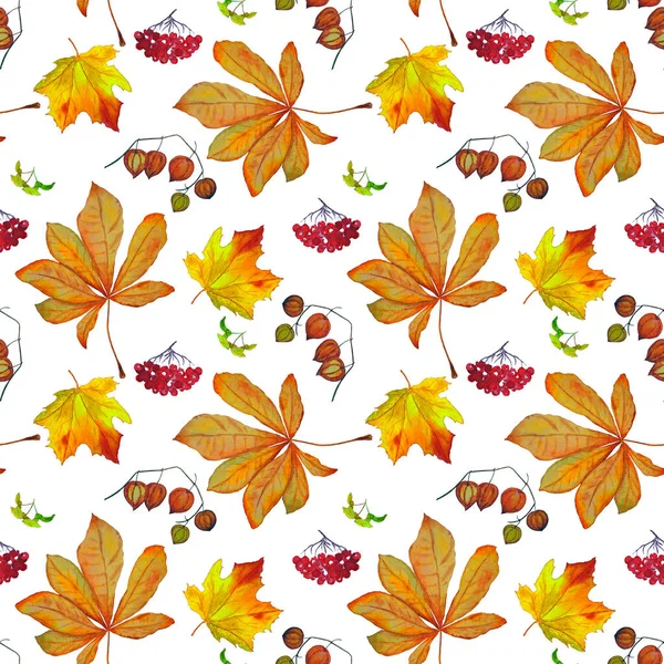 Aquarelle Motif Sans Couture Avec Ensemble Automne Maple Rowan Physalis — Photo