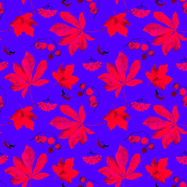 Padrão Néon Sem Costura Aquarela Com Conjunto Outono Maple Rowan — Fotografia de Stock