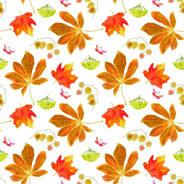 솔방울없는 네온과 무늬가 메이플 로리스 밤이요 디자인의 종류의 아름다운 가을인 — 스톡 사진
