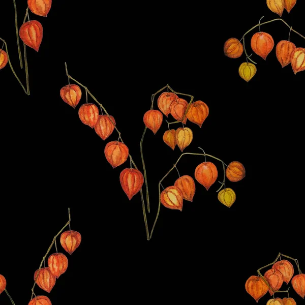 Schönes Nahtloses Muster Mit Aquarell Herbststrauß Auf Schwarz Physalis Zweige — Stockfoto