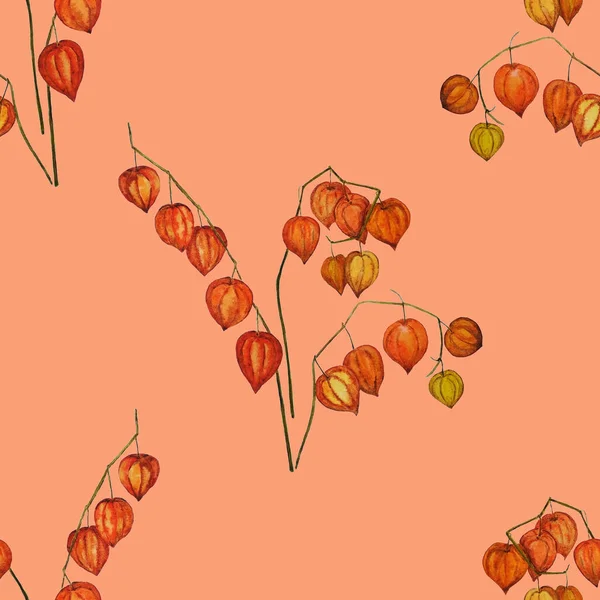 Sulu Sonbahar Buketli Kusursuz Bir Desen Physalis Dalları Doğal Sonbahar — Stok fotoğraf