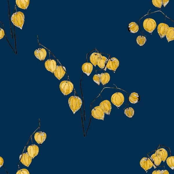 Sulu Sonbahar Buketli Kusursuz Altın Desenli Physalis Dalları Doğal Sonbahar — Stok fotoğraf