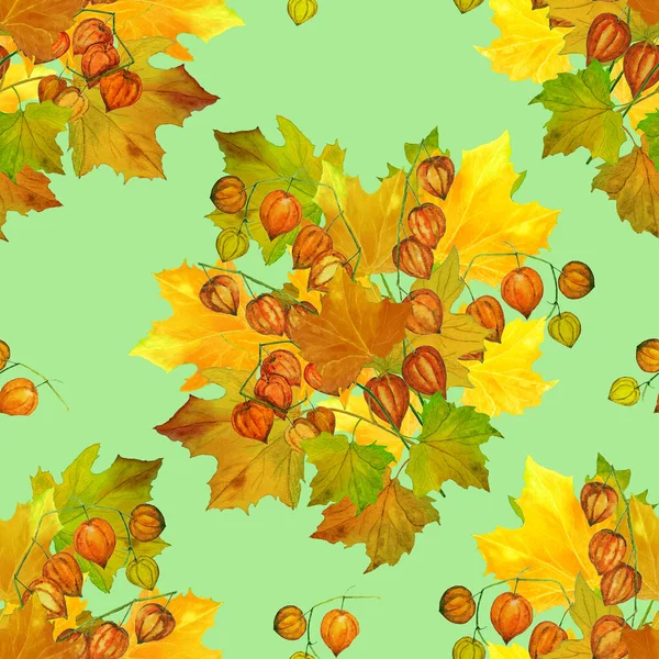 Piękny Bezszwowy Wzór Akwarelowym Jesiennym Bukietem Klon Physalis Naturalny Jesienny — Zdjęcie stockowe