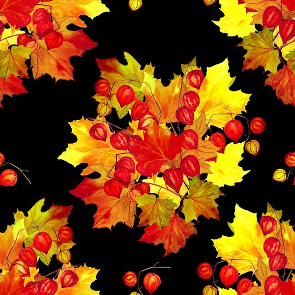 Piękny Bezszwowy Wzór Akwarelowym Jesiennym Bukietem Czarno Klon Physalis Naturalny — Zdjęcie stockowe