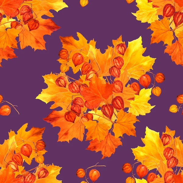 Piękny Bezszwowy Wzór Akwarelowym Jesiennym Bukietem Klon Physalis Naturalny Jesienny — Zdjęcie stockowe