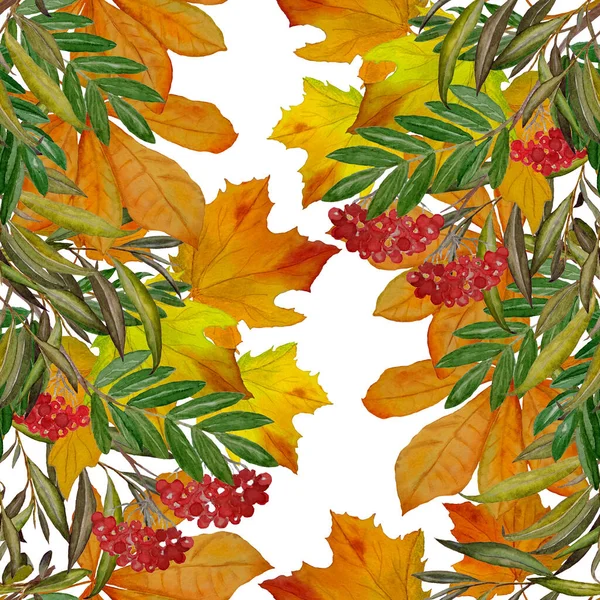 Prachtige Naadloze Patroon Met Aquarel Herfstbladeren Rowan Takken Prachtige Natuurlijke — Stockfoto