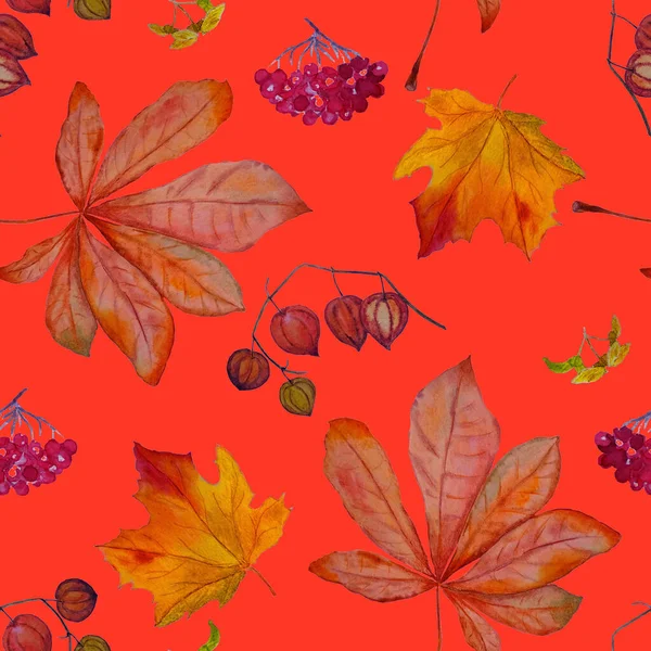 秋のセットと水彩シームレスパターン メープル ローワン 物理学者 栗だよ どんなデザインのための美しい秋のプリント — ストック写真