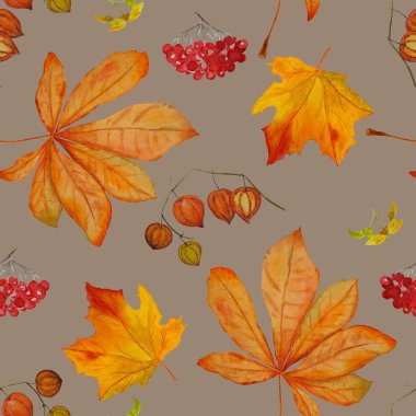 Sonbahar setiyle suluboya kusursuz desen. Akçaağaç. Rowan. Physalis. Kestane rengi. Her türlü tasarım için güzel bir sonbahar baskısı.