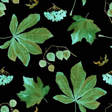 Sonbaharda siyaha boyanmış sulu boya deseni. Akçaağaç. Rowan. Physalis. Kestane rengi. Her türlü tasarım için güzel bir sonbahar baskısı.