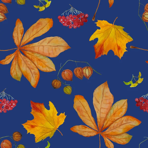 수채화 물감없는 메이플 로리스 밤이요 디자인의 종류의 아름다운 가을인 — 스톡 사진