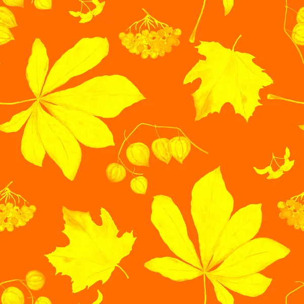 Aquarelle Motif Sans Couture Avec Ensemble Automne Maple Rowan Physalis — Photo