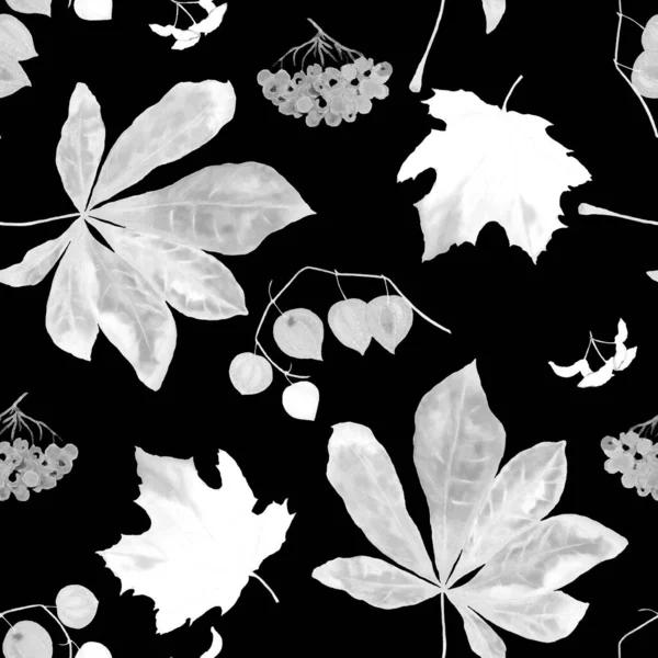 秋のセットと水彩シームレスパターン メープル ローワン 物理学者 栗だよ どんなデザインのための美しいモノクロの秋のプリント — ストック写真