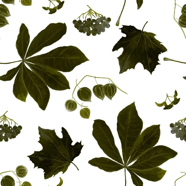 水彩画与秋装无缝搭配 枫树罗文植物区系 漂亮的单色秋色印刷品 任何图案都可以 — 图库照片