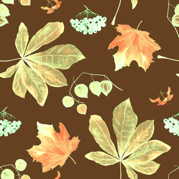 Watercolor seamless pattern with autumn set. Maple. Rowan. Physalis. Chestnut. Beautiful autumn print for any kind of a design.