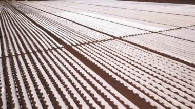 Seralarda tarım ve damlama sulamalarında. Hava aracı videosu.