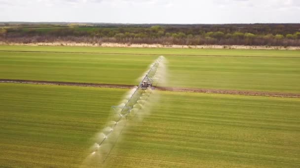 Disparo aéreo de un dron de un granjero rociando campos agrícolas. — Vídeos de Stock