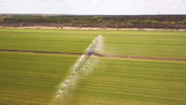 Flygdrönare skott av en jordbrukare besprutning jordbruksfält. — Stockvideo