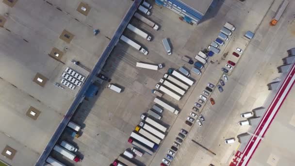 कार्गो ट्रकों, कंटेनरों और वितरण गोदाम के हवाई शीर्ष नीचे दृश्य . — स्टॉक वीडियो