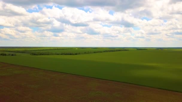 Volando sobre campos agrícolas verdes, vista aérea . — Vídeos de Stock