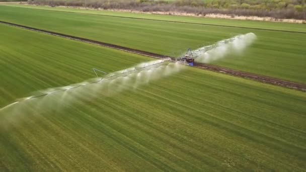 Luchtfoto van een landbouwer die landbouwvelden besproeit. — Stockvideo