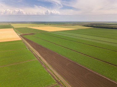Tarım alanlarının hava aracı görüntüsü.