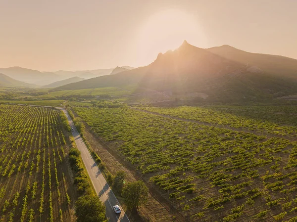 Красивые виноградники в горах Крыма. Воздушный беспилотник. — стоковое фото