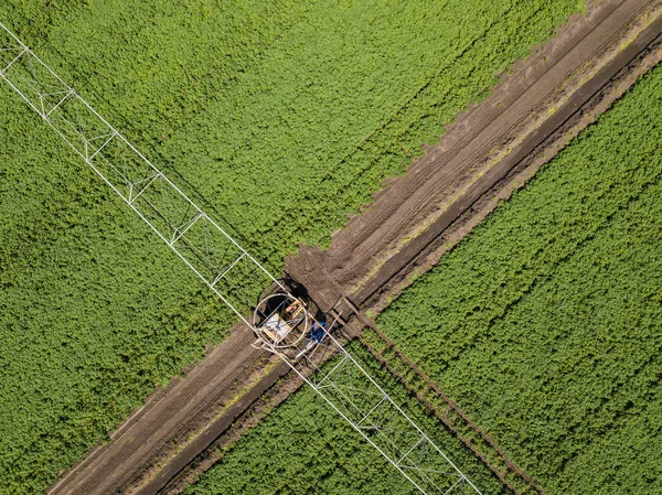 Agricultural tractor sprays the crop field with chemicals. Aerial drone photo.