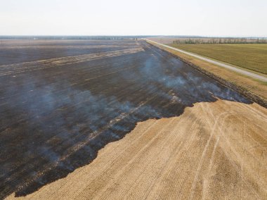 Yanan ve kavrulmuş kuru tarlaların hava fotoğrafları. Rezervasyonda kuru çimenler yanıyor. Doğal afet. Yangından sonra yer siyah külle kaplandı. Üst görüntü insansız hava aracı. Toprağın güzelliği.