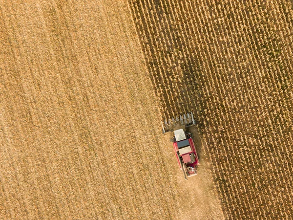 Flygfoto Kombinera Arbetar Den Stora Majsfält Stockbild