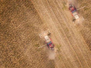 Büyük buğday tarlasında çalışan kombine üzerinde hava görüntüsü