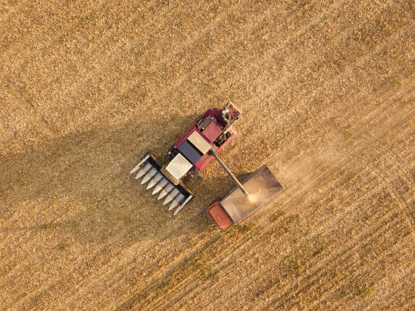 Luftaufnahme Des Mähdreschers Der Den Lkw Mit Der Maisernte Füllt — Stockfoto